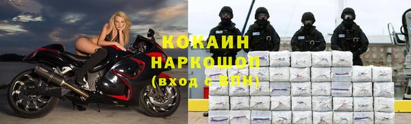 дживик Абаза