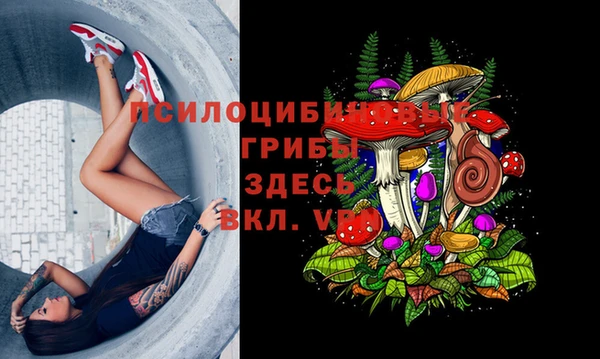 дживик Абаза