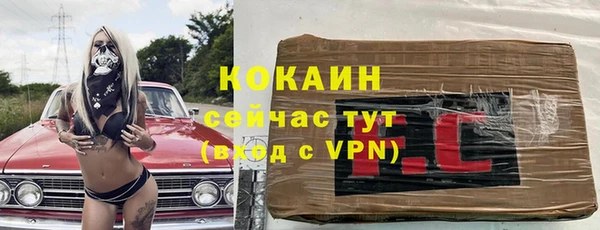 гидра Алексеевка