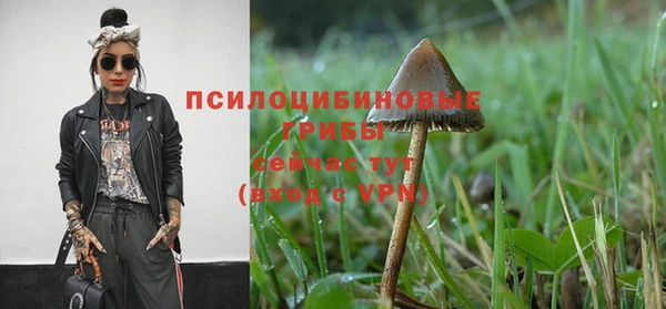 гашик Осташков